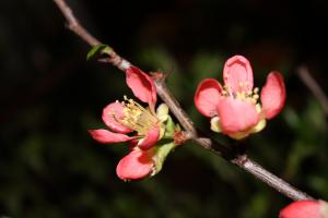 img_0005