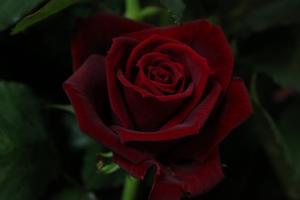 img_07041
