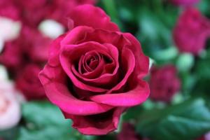 img_0718