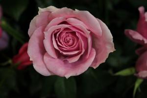 img_0727