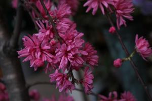 img_0813