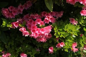 img_0929