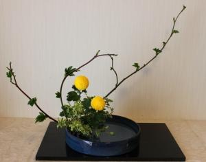 今週のお稽古花｜「花好」　（山口県下関市の花キューピット加盟店 花屋）のブログ