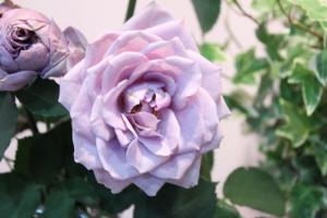 img_6636