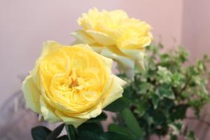 img_6643
