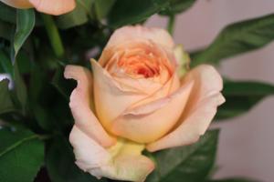 img_6672