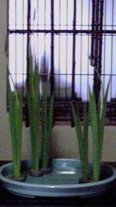 2011062212280000