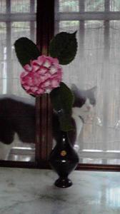 2011062618470000