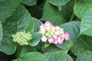 img_67811