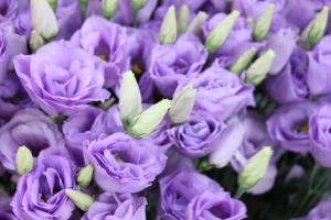 img_73241