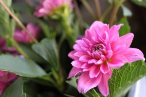 img_73331